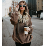 Winter Autumn Sweater Women Hooded Sweaters