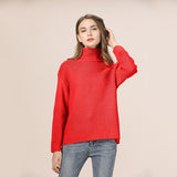 Autumn Winter Turtleneck Sweater