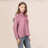 Autumn Winter Turtleneck Sweater